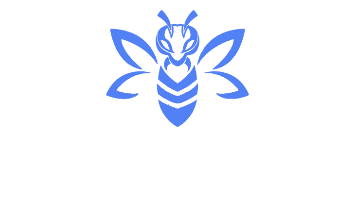 Website development & Digital Marketing | Solutions - www.ez-webees.com